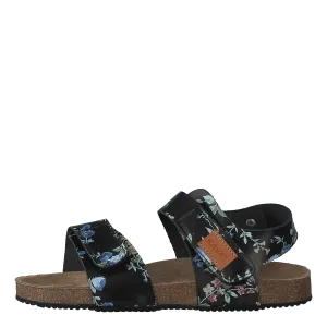 Bomhus Xc Floral