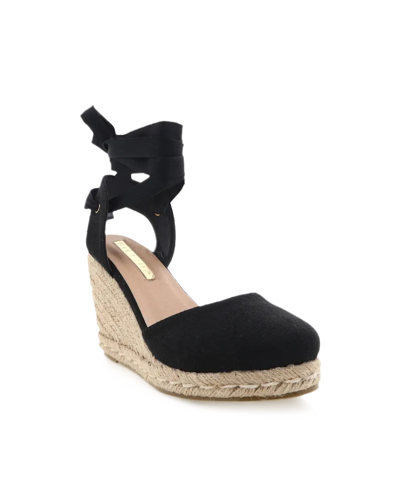 Carina Wedge